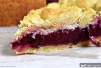Juicy Plum Shortcake Recipe with Tender Cake and Fresh Plums