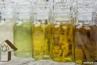 Highest-Fat Cooking Oils: Which Oils Have the Most Fat Content