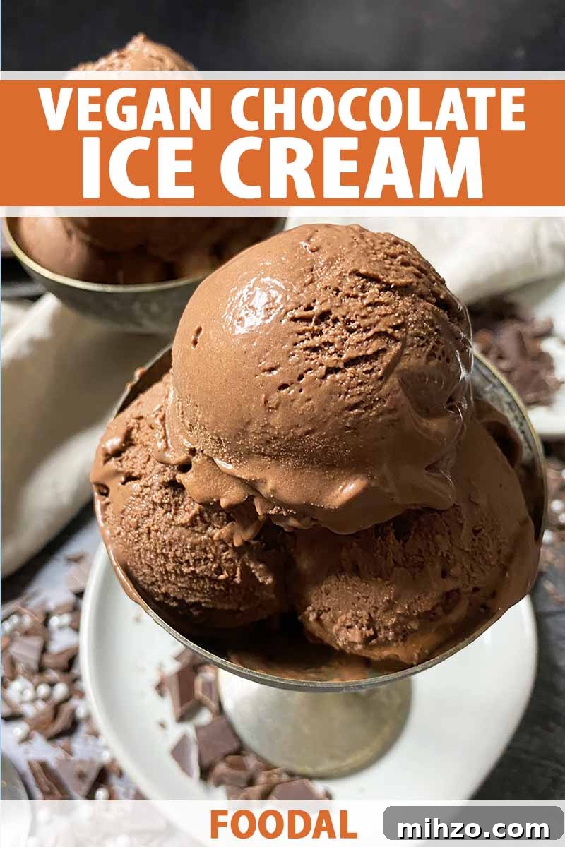 Vertical image of a bowlful of chocolate ice cream on a white plate, with text on the top and bottom of the image.
