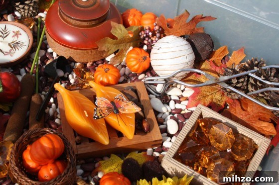IMG_0349 Autumn Sensory Bin for toddlers and preschoolers