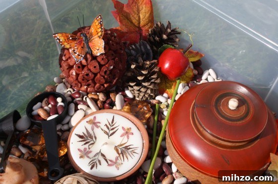 IMG_0348 dollar store items in a fall sensory bin