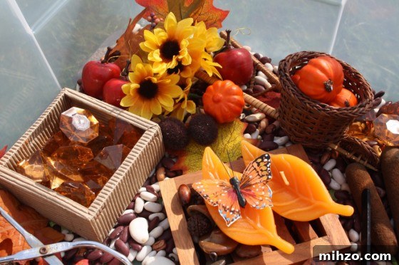 IMG_0346 suggested items for an Autumn Sensory bin