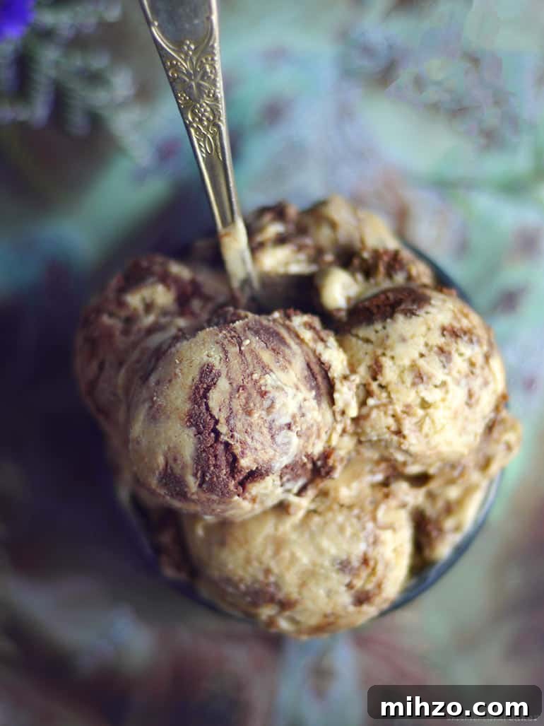 Peanut Butter Banana Fudge Swirl Ice Cream (No Churn & Free From: Dairy, Gluten & Grains, Refined Sugar, and added oils)