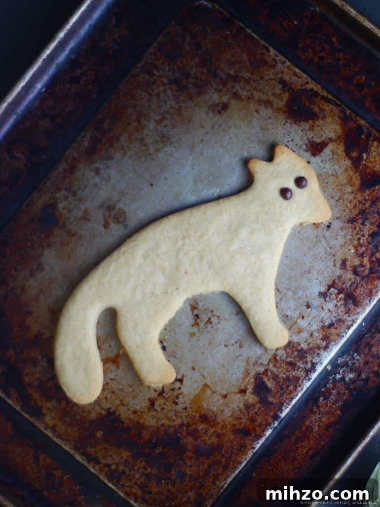 Ginger Fox Cookies Recipe: Crispy Spiced Fox-Shaped Cookies 3 Ginger Fox Cookies (Free From: gluten, eggs, dairy, added oils, refined sugar)