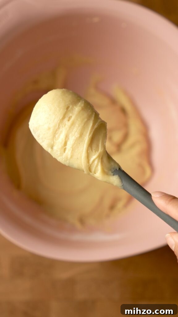 Pizzelle Recipe: Traditional Italian Waffle Cookies Guide 4 Finished mixing all the ingredients