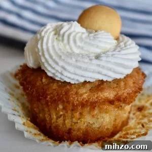 Classic Vanilla Wafer Cupcakes with Creamy Buttercream Frosting 14 Vanilla Wafer Cupcakes Recipe
