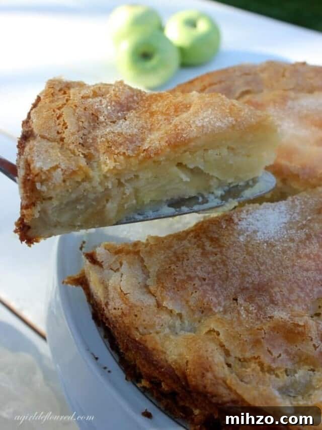 Classic French Onion Soup Made in the Oven: Step-by-Step Recipe 5 gluten free apple cake