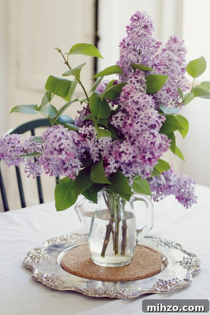 one of my favorite things is a big bouquet of lavender lilacs for my dining room table.