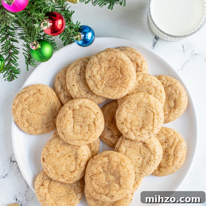Overhead view of a plate full of eggnog snickerdoodles showing off a cinnamon and nutmeg outside.