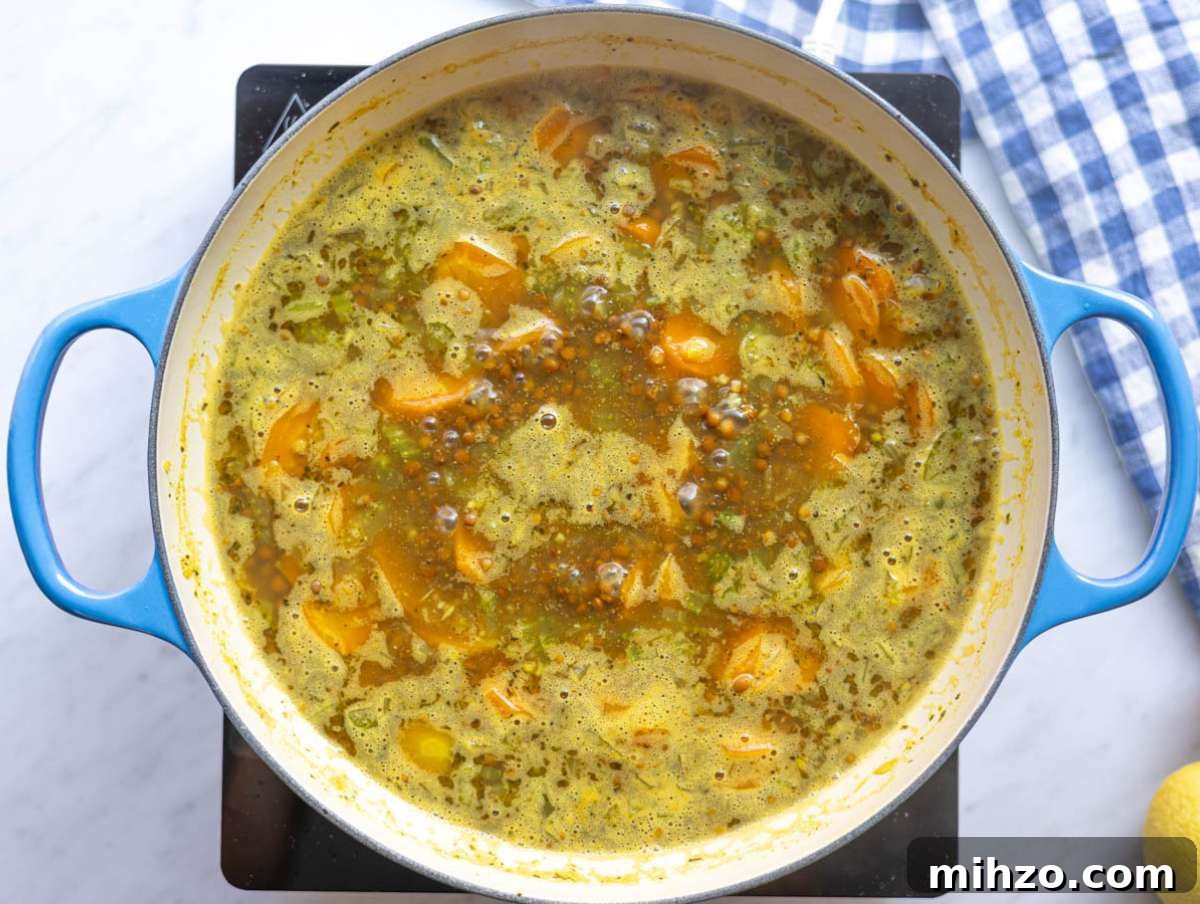 30-Minute Lemon Lentil Soup Recipe for Bright Flavor and Comfort 6 Step 2 Adding canned lentils and broth to pot for easy lentil soup.