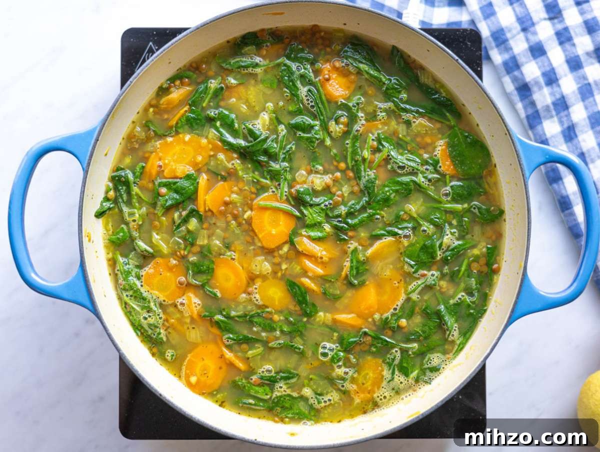 30-Minute Lemon Lentil Soup Recipe for Bright Flavor and Comfort 7 Step 3 Lemon lentil soup simmering gently on stove in large pot.