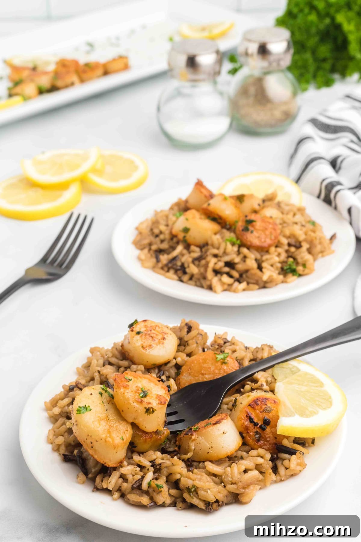 fork with scallop on plate with brown rice