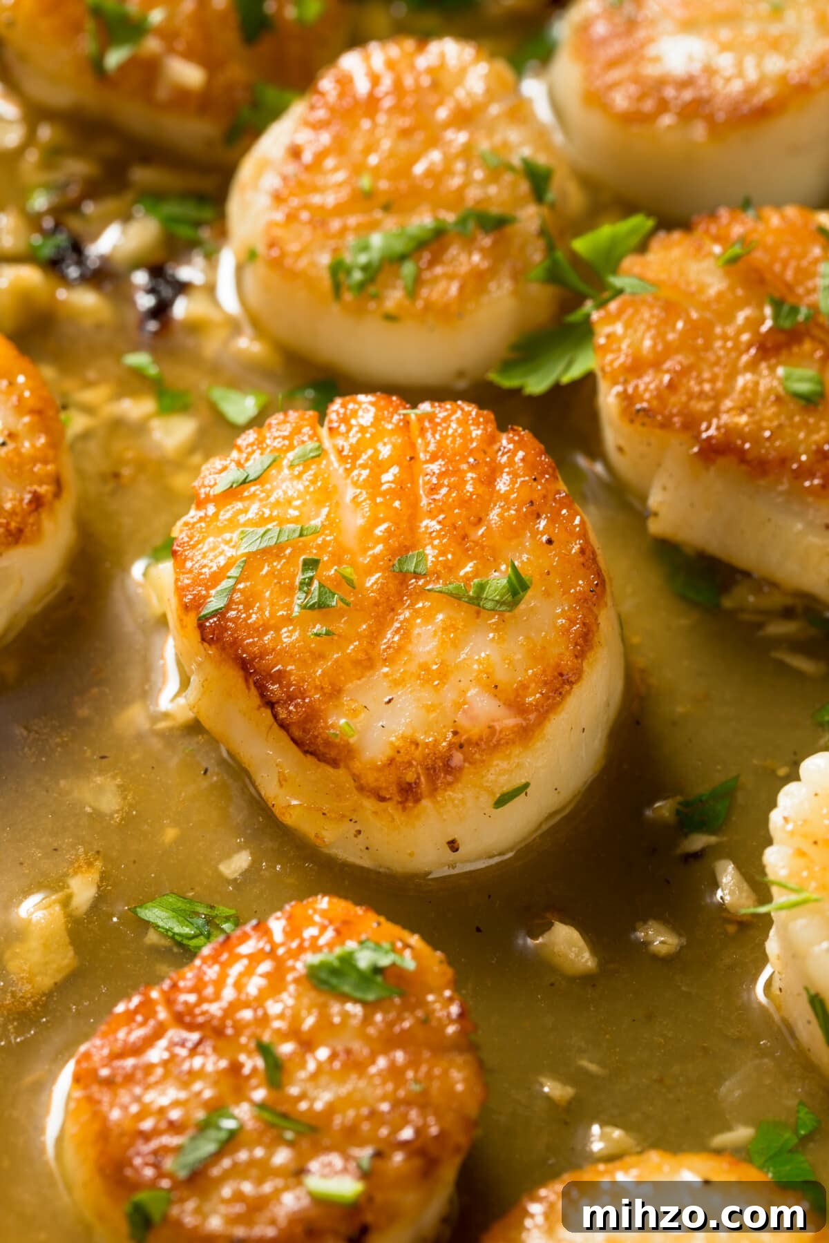 Close-up of Pan Seared Scallops