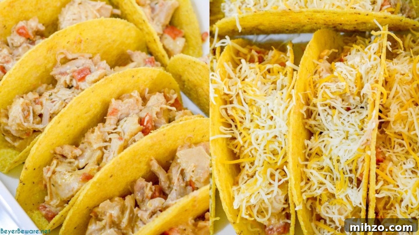 Creamy Baked Chicken Tacos with Melted Cheese 5 Creamy chicken baked tacos may have just become the best version of baked tacos made quickly with shredded chicken, Rotel, and cream cheese and piled into corn taco shells and baked to cheesy perfection.