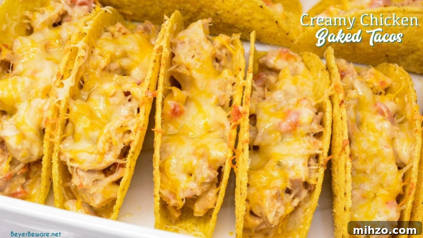 Creamy Baked Chicken Tacos with Melted Cheese 6 Creamy chicken baked tacos may have just become the best version of baked tacos made quickly with shredded chicken, Rotel, and cream cheese and piled into corn taco shells and baked to cheesy perfection.
