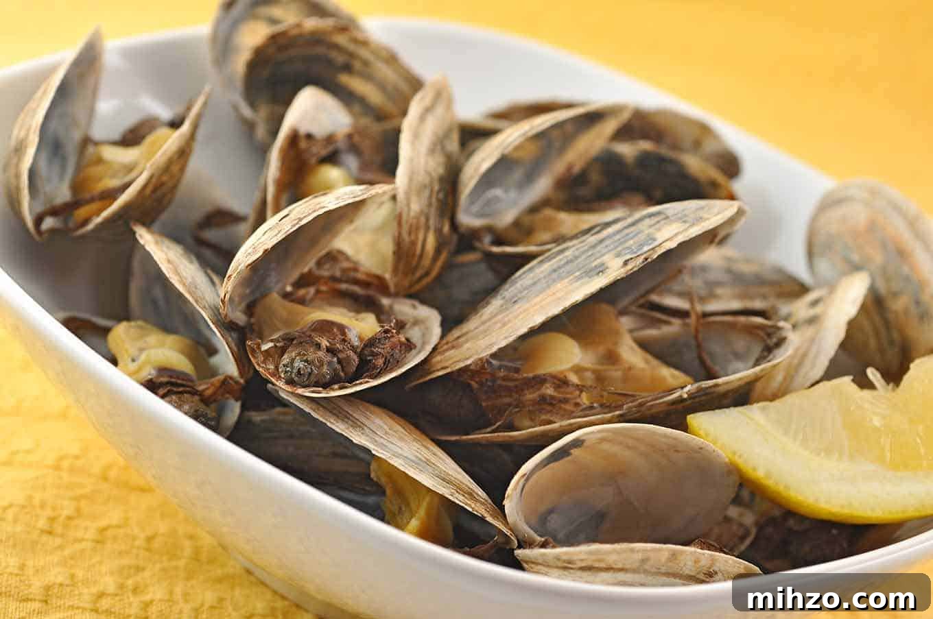 New England Steamed Clams: Classic Clam Bake Recipe 2 Bowl of steamer clams with lemon wedge