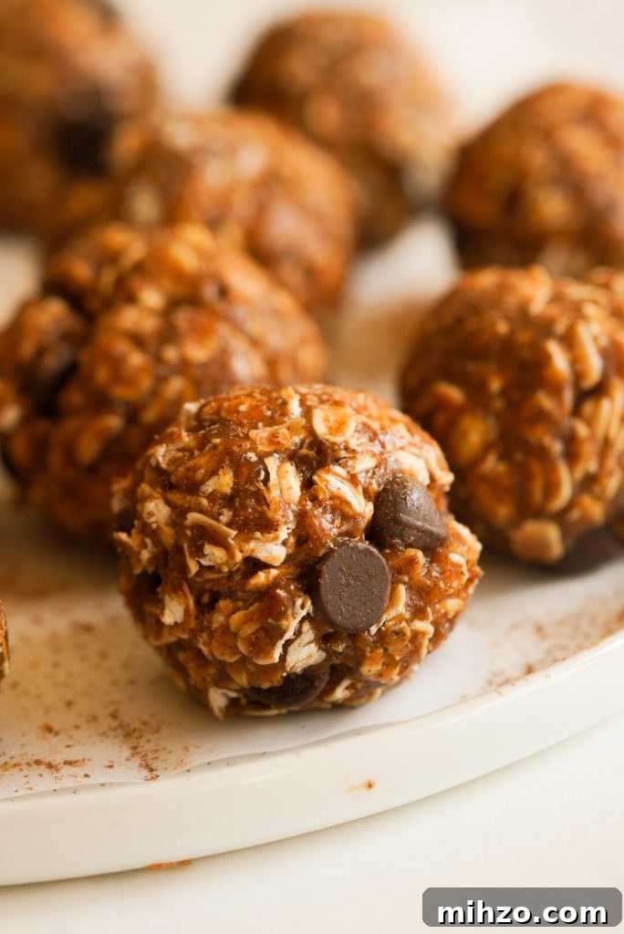 Pumpkin Spice Protein Bites — No-Bake Autumn Snack 11 pumpkin spice energy bite