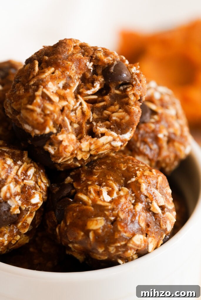 Pumpkin Spice Protein Bites — No-Bake Autumn Snack 13 pumpkin spice energy balls