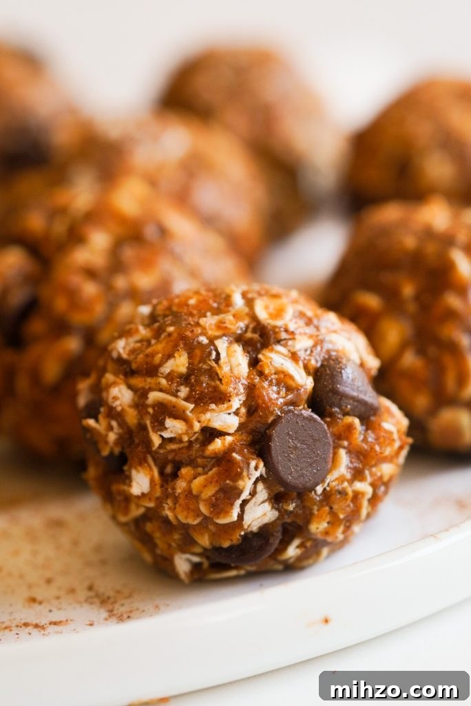 Pumpkin Spice Protein Bites — No-Bake Autumn Snack 3 close up shot of a chocolate chip pumpkin energy ball