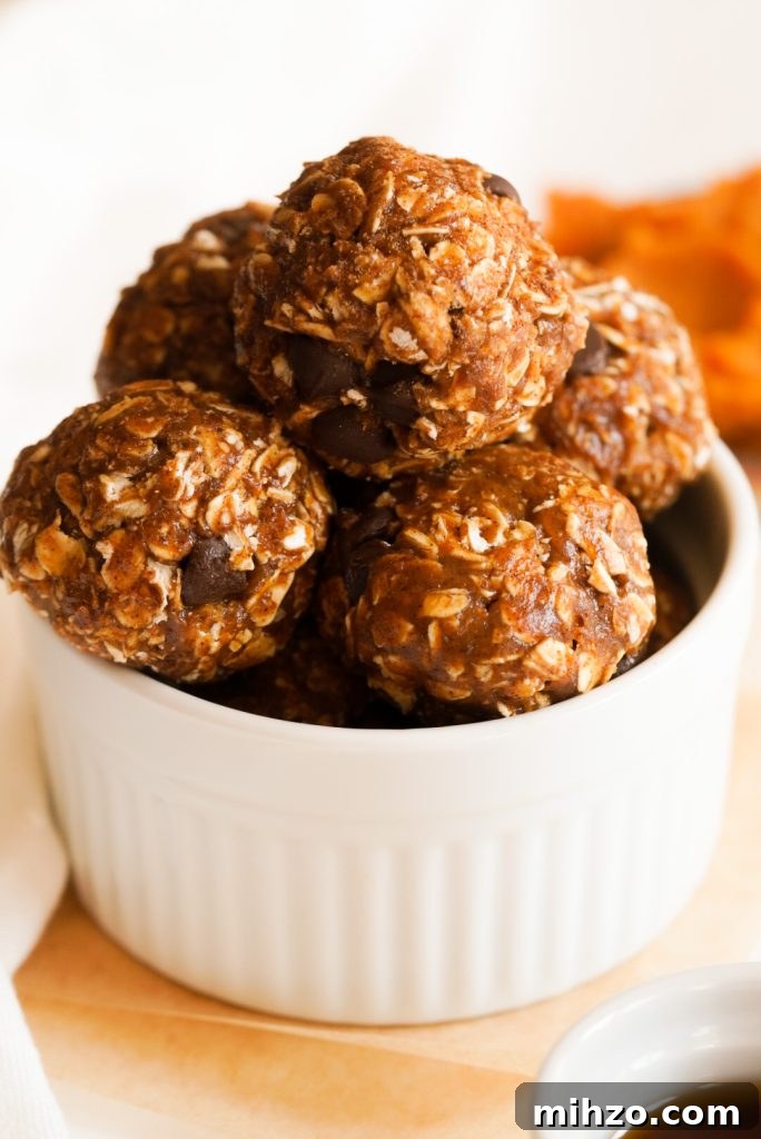 Pumpkin Spice Protein Bites — No-Bake Autumn Snack 10 protein bites in a white bowl