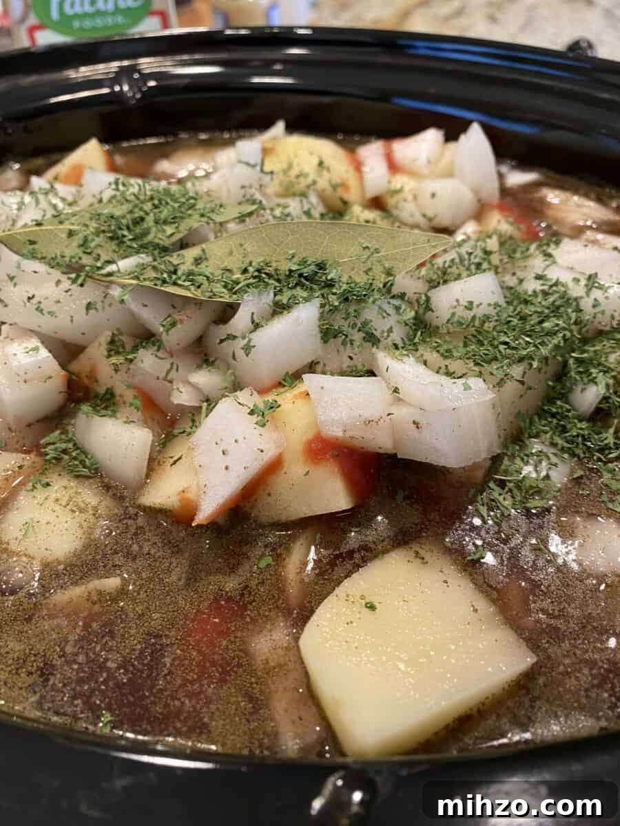 Classic Irish Beef Stew Recipe for Tender, Rich Flavor 6 Stew ingredients in the Crockpot.