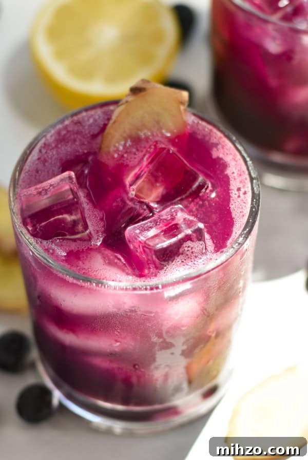 Refreshing Peach Mocktail Recipe for Summer Parties 8 Two blueberry drinks surrounded by blueberries and ginger slices.