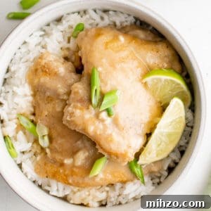 Close up view of a bowl of coconut lime chicken.