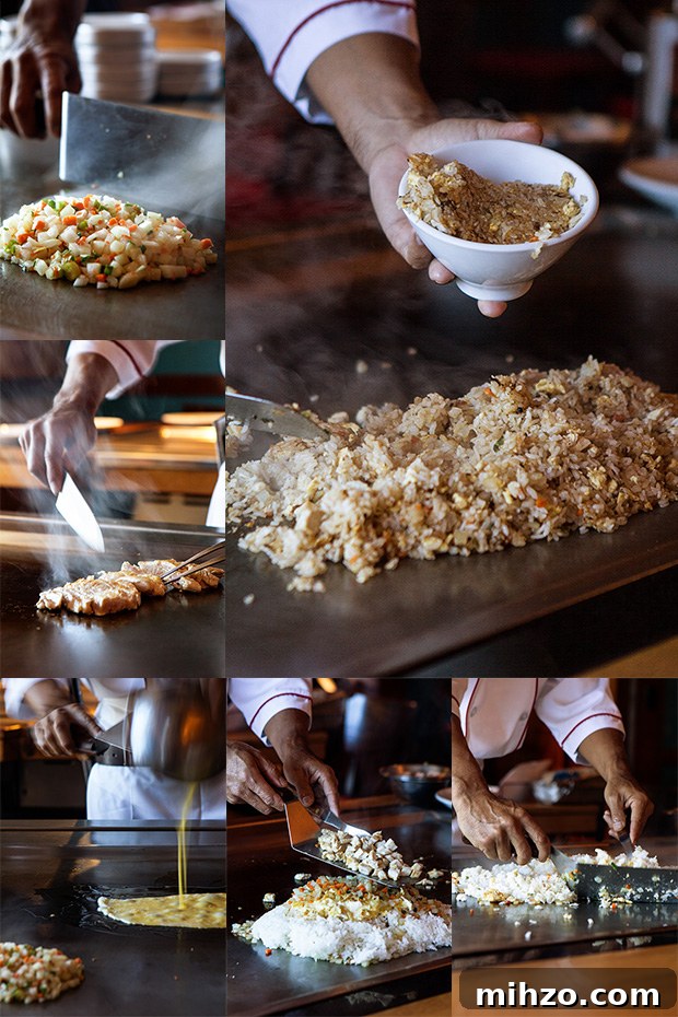 Fried Rice | Benihana