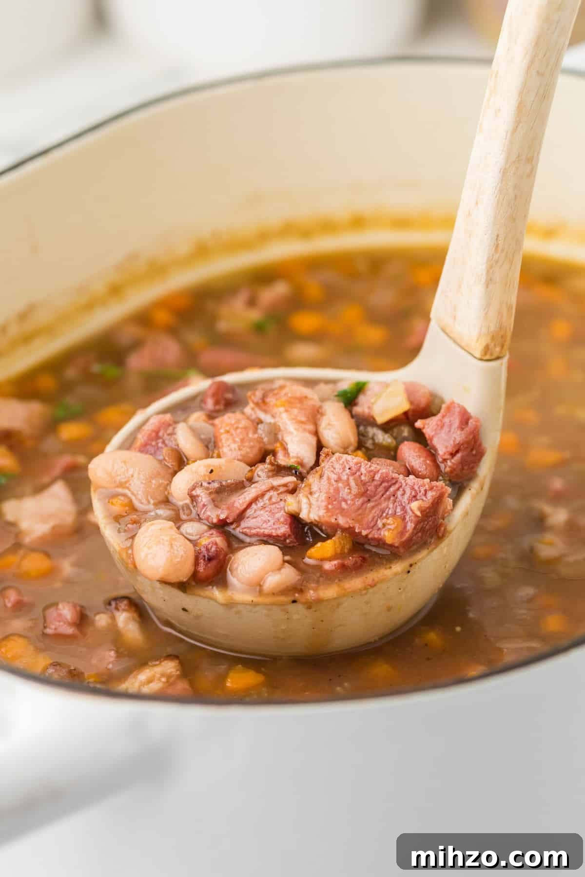 A ladle filled with ham and bean soup.