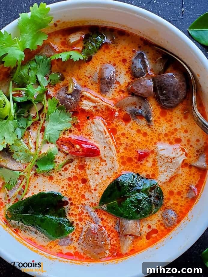Instant Pot Tom Kha Gai: Creamy Thai Coconut Chicken Soup Recipe 2 Instant pot tom kha gai in white bowl garnished with cilantro