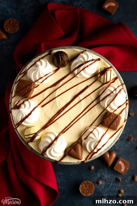 No-Bake Baileys Cheesecake Recipe: Creamy Irish Cream Dessert 9 Top down view of a Baileys cheesecake drizzled with chocolate sauce