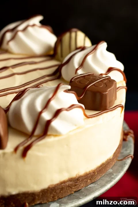No-Bake Baileys Cheesecake Recipe: Creamy Irish Cream Dessert 4 A close up of a no bake Baileys cheesecake on a cake stand