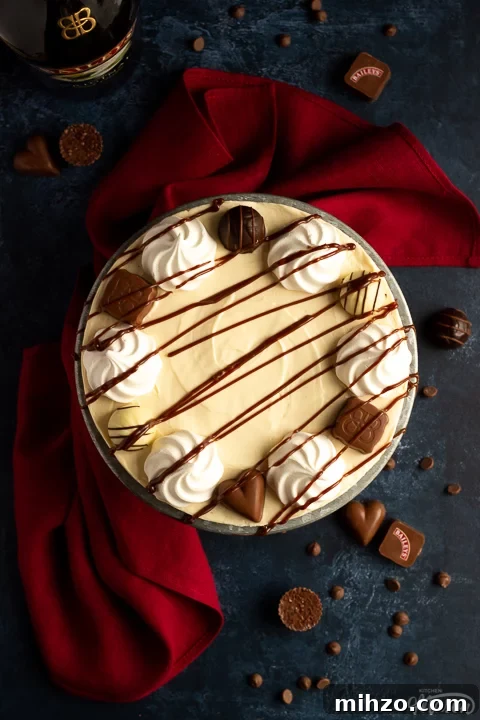 No-Bake Baileys Cheesecake Recipe: Creamy Irish Cream Dessert 5 Top down view of a Baileys cheesecake on a cake stand