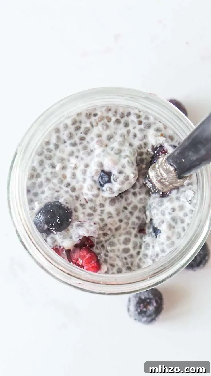 15 Simple Alkaline Diet Recipes for Everyday Meals 8 Easy chia pudding recipe