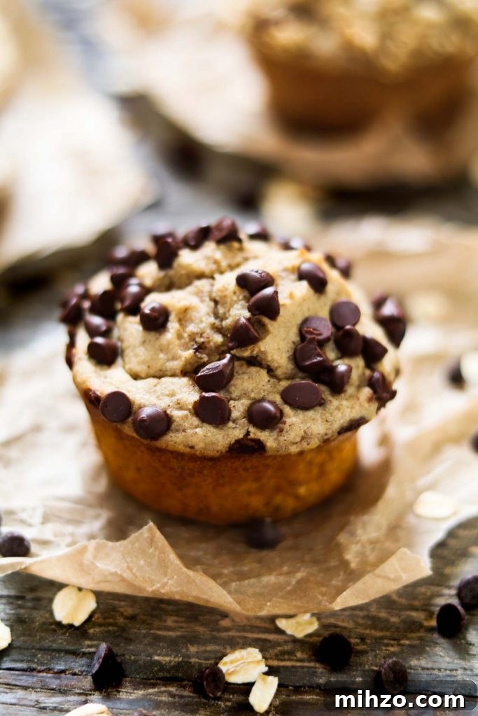 30 High-Protein Vegan Recipes for Muscle and Energy 27 Easy Vegan Protein Muffins