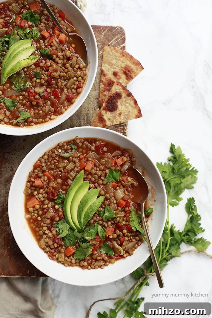 30 High-Protein Vegan Recipes for Muscle and Energy 7 Mexican Lentil Soup