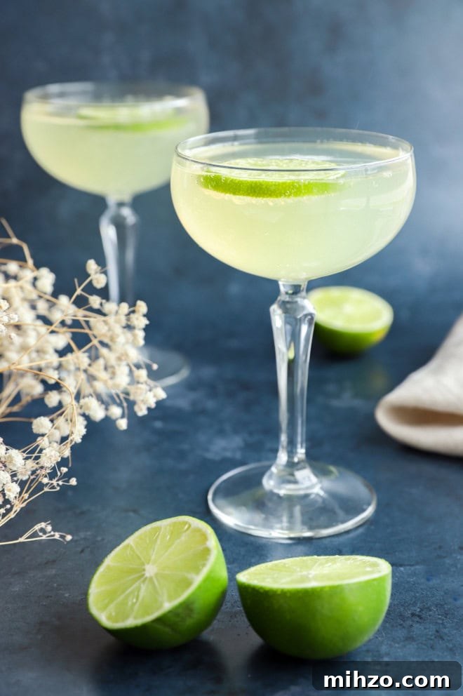Elderflower Sparkling Cocktail Guide 5 elderflower cocktail with fresh limes and flowers