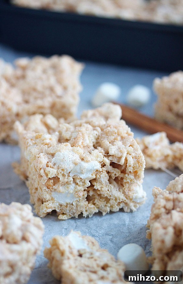 Snickerdoodle Rice Krispie Treats Recipe: Cinnamon Sugar Bars 2 Snickerdoodle Rice Krispie Treats