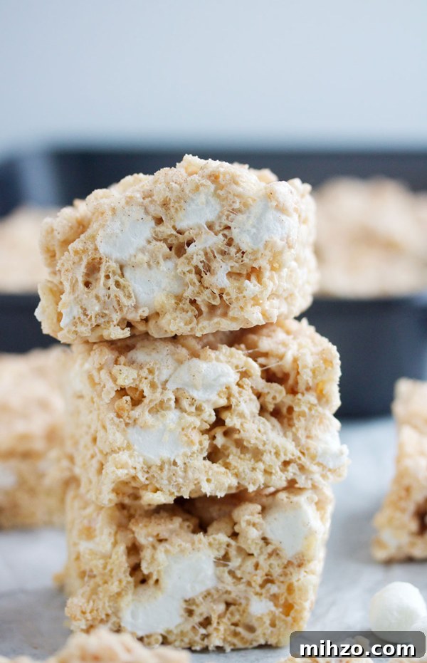 Snickerdoodle Rice Krispie Treats Recipe: Cinnamon Sugar Bars 3 Close up of snickerdoodle Rice Krispie treats