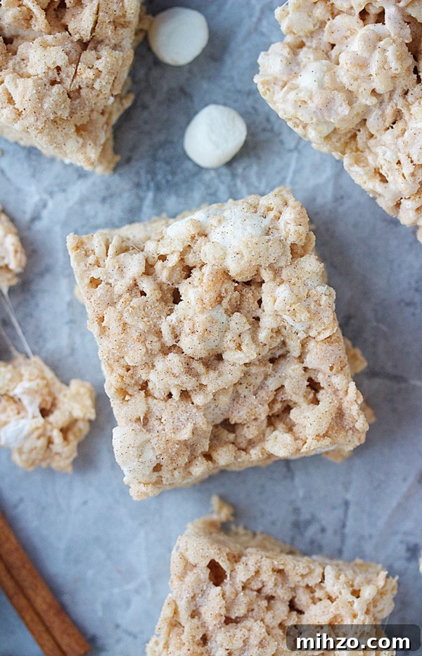 Snickerdoodle Rice Krispie Treats Recipe: Cinnamon Sugar Bars 4 Tray of snickerdoodle Rice Krispie treats