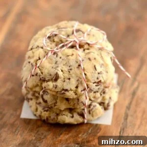 Chocolate Chocolate Chip Cookies with Sprinkles Recipe 7 In a chocolate chip cookie rut? Give these Chocolate Sprinkle Chocolate Chip Cookies a try. A yummy cookie recipe!