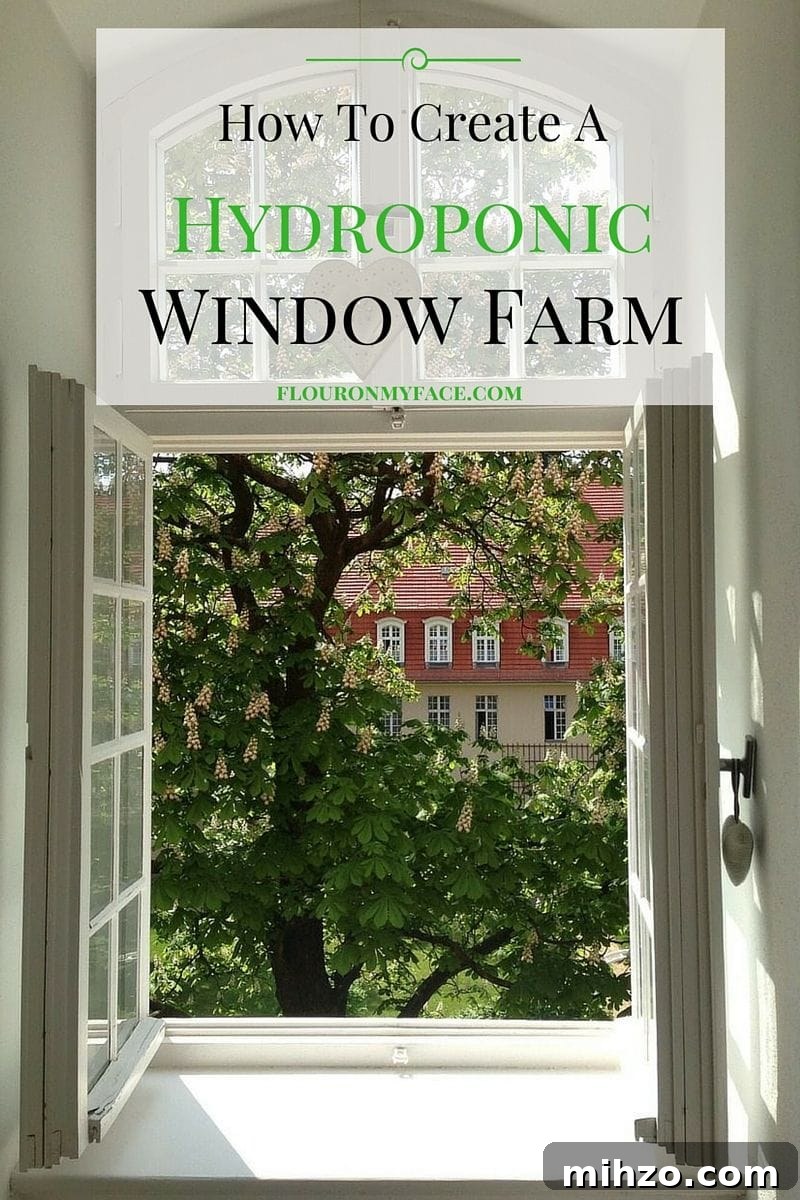 How to create a Hydroponic Window Farm via flouronmyface.com