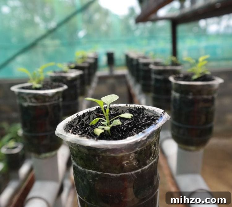 Growing plants in a Hydroponic Window Farm via flouronmyface.com