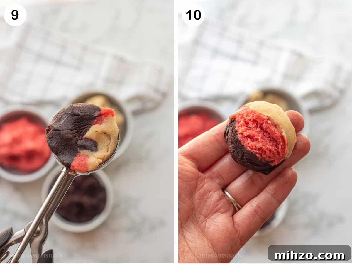 Authentic Neapolitan Cookies Recipe: Classic Layered Biscuits 8 3 kinds of dough in metal cookie scoop, and hand holding ball of cookie dough showing pink, vanilla, and chocolate.