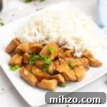 teriyaki chicken and rice on white plate
