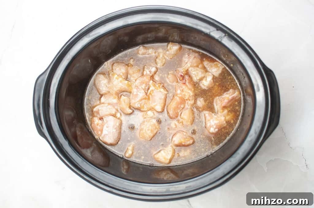 Slow Cooker Teriyaki Chicken Recipe for Tender, Flavorful Meals 7 Slow Cooker Teriyaki Chicken before cooking
