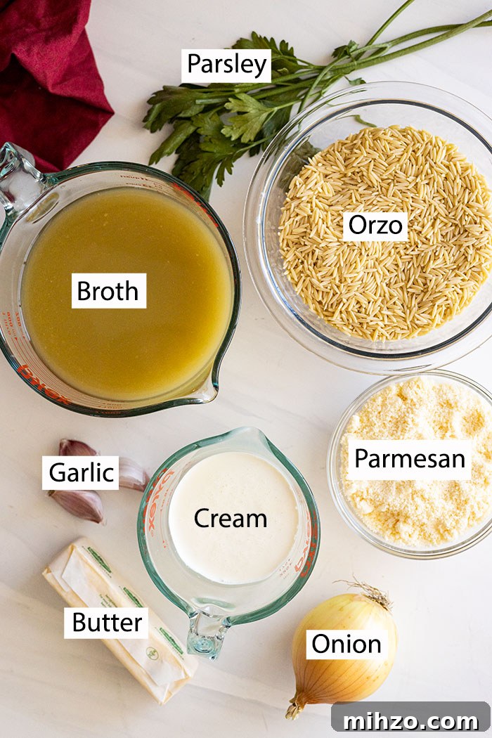 Creamy Parmesan Orzo with Garlic and Herbs 3 Ingredients for parmesan orzo: orzo pasta, broth, cream, garlic, butter, onion, and parmesan.