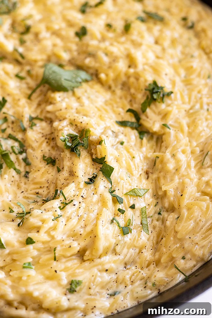 Creamy Parmesan Orzo with Garlic and Herbs 5 Close up of this creamy pasta dish.