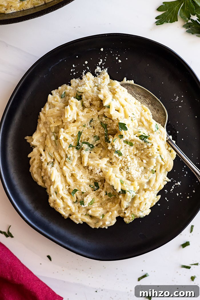 Creamy Parmesan Orzo with Garlic and Herbs 6 Orzo served on a black plate with a spoon ready to take a bite. Garnished with fresh parsley , parmesan cheese, and black pepper.