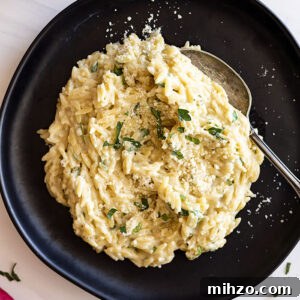 Creamy Parmesan Orzo with Garlic and Herbs 7 Orzo served on a black plate with a spoon ready to take a bite. Garnished with fresh parsley , parmesan cheese, and black pepper.